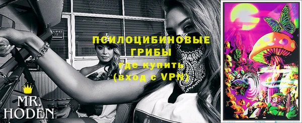 мет Арсеньев