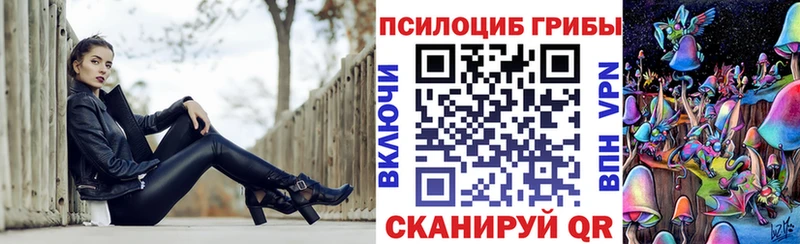 Псилоцибиновые грибы Cubensis  Миллерово 